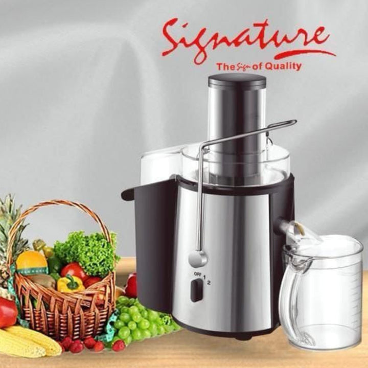 850W Electric Power Juicer