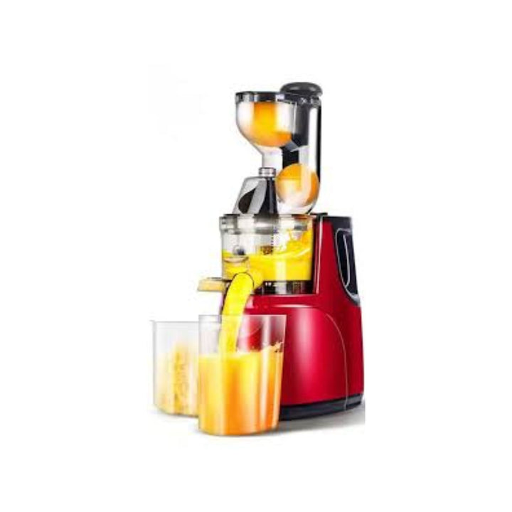 Masticating Slow Juicer